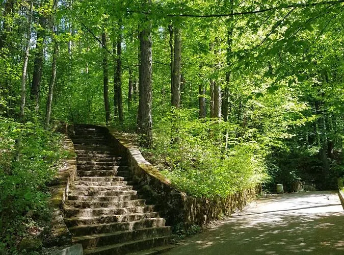 Апартамент Къща за гости Вършец